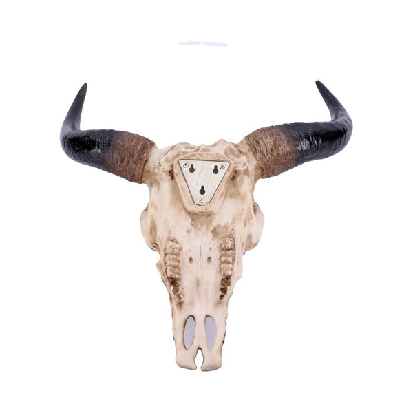 Mythical Markings 44.5cm - GiftMasters.co.uk