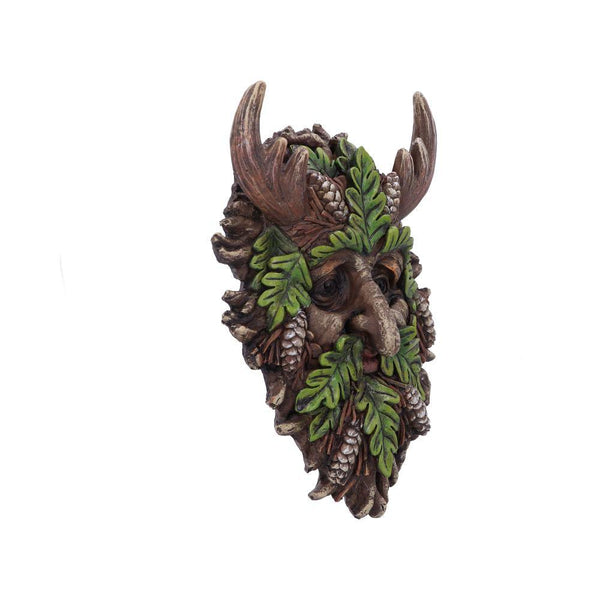 Bryn 20.8cm - GiftMasters.co.uk