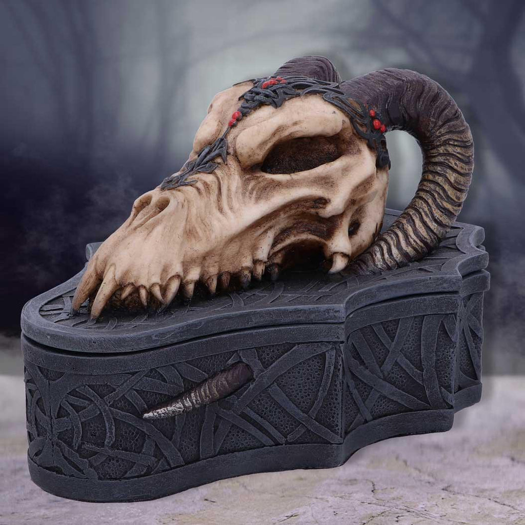 Dragon Skull Box (Monte Moore) 17.7cm - Buy Boxes at GiftMasters.co.uk