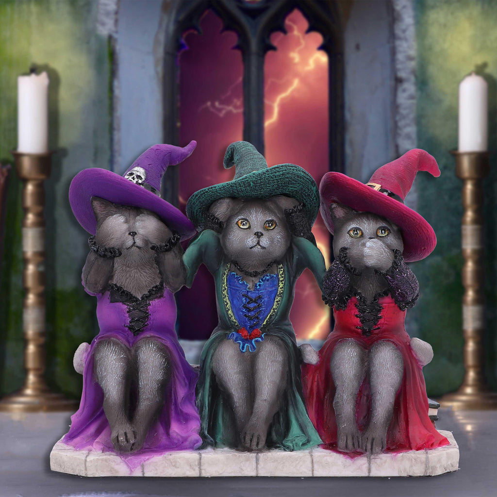 Three Wise Witchy Kittys 15.3cm Ornament - Buy Figurines Medium (15-29cm) at GiftMasters.co.uk