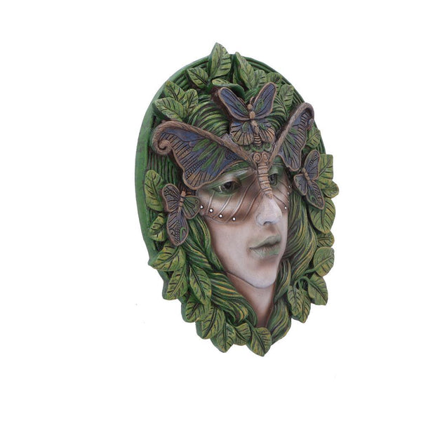 Fern 20cm - GiftMasters.co.uk