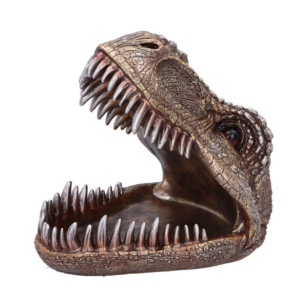 Tyrannosaurus Rex Dish 24cm Ornament - GiftMasters.co.uk