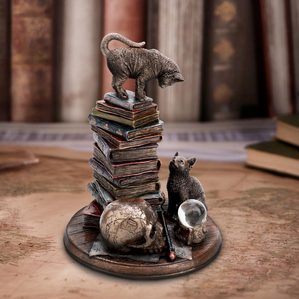 Feline Scholars 18cm Ornament - Buy Figurines Medium (15-29cm) at GiftMasters.co.uk