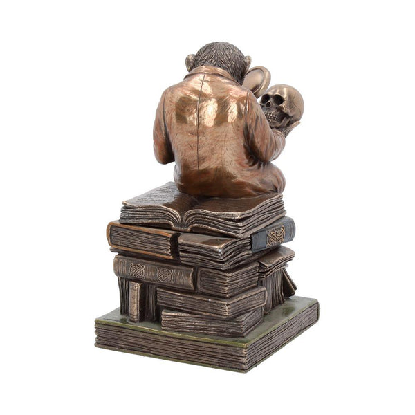 Darwinism of Evolutionary Theory  17.5cm - GiftMasters.co.uk