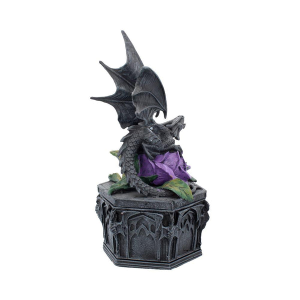 Dragon Beauty Box (AS) 25cm - GiftMasters.co.uk