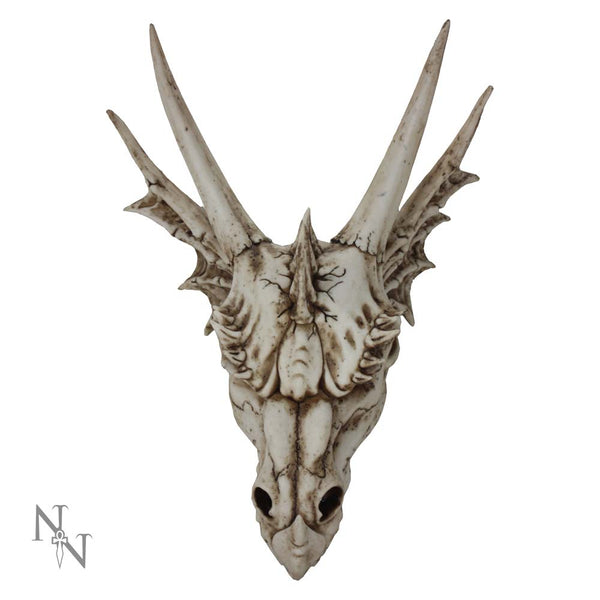 The Last Dragon Skull 32cm Ornament - GiftMasters.co.uk