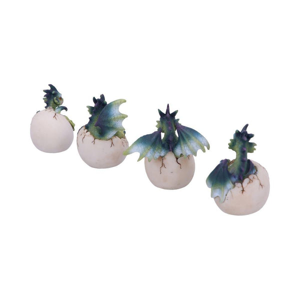 Hatchlings Emergence (Set of 4) 8cm Ornament - GiftMasters.co.uk