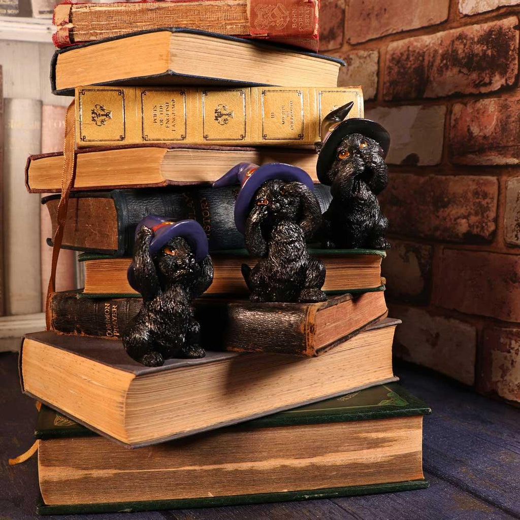 Three Wise Familiars 9.2cm Ornament - Buy Figurines Small (Under 15cm) at GiftMasters.co.uk