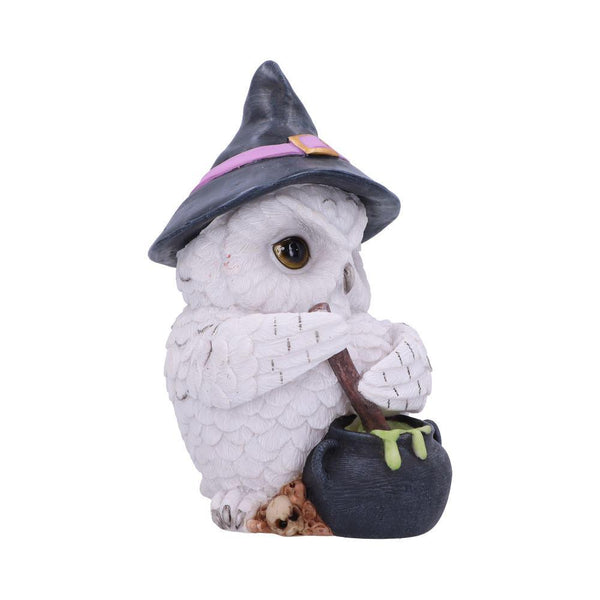 Owl Potion 17.5cm Ornament - GiftMasters.co.uk