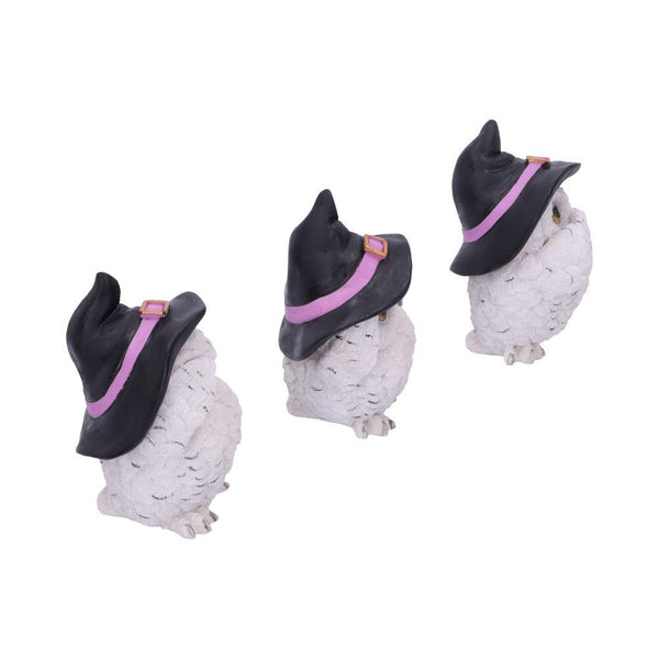 Three Wise Feathered Familiars 9cm Ornament - GiftMasters.co.uk