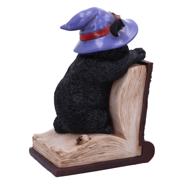 Peek-a-boo 20cm Ornament - GiftMasters.co.uk