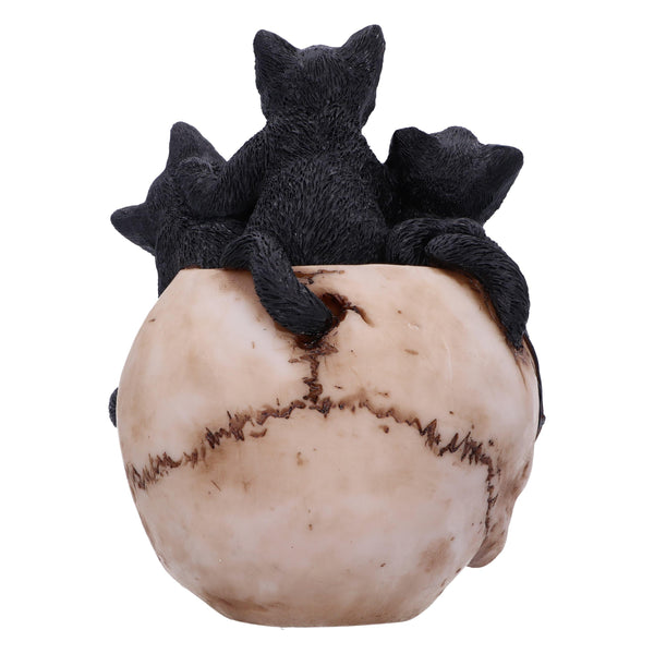 Cranial Litter 14cm Ornament - GiftMasters.co.uk