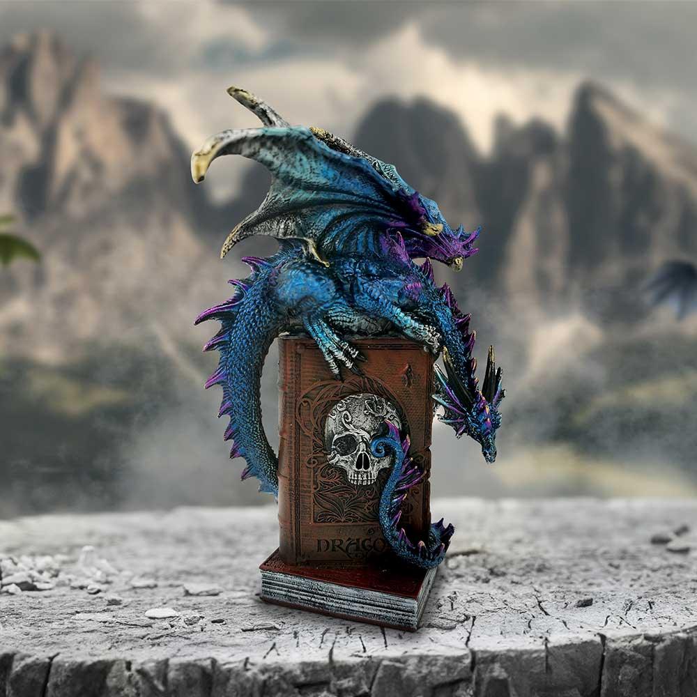 A Tale of Dragons 22cm Ornament - Buy Figurines Medium (15-29cm) at GiftMasters.co.uk