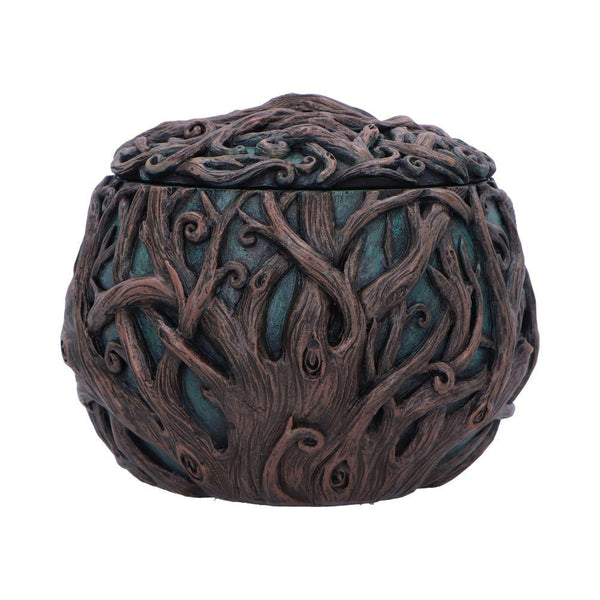 Tree Spirit Treasure Box 13cm - GiftMasters.co.uk