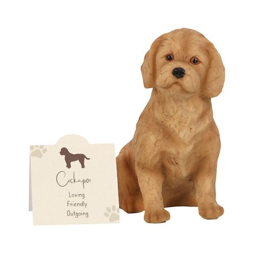Cockapoo Resin Dog Ornament - Buy  at GiftMasters.co.uk