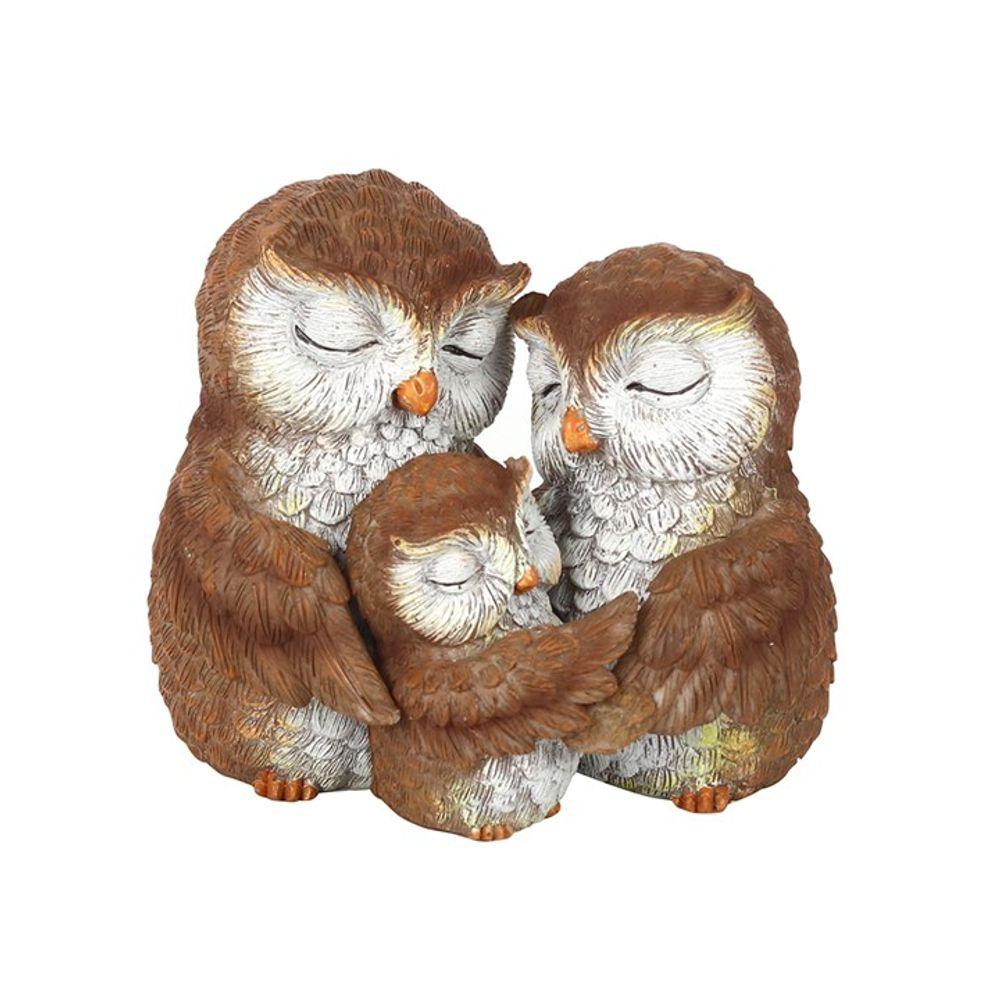 Owl-ways Be Together Owl Family Ornament - Buy  at GiftMasters.co.uk