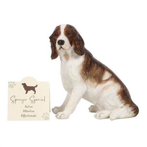 Springer Spaniel Dog Ornament - Buy  at GiftMasters.co.uk